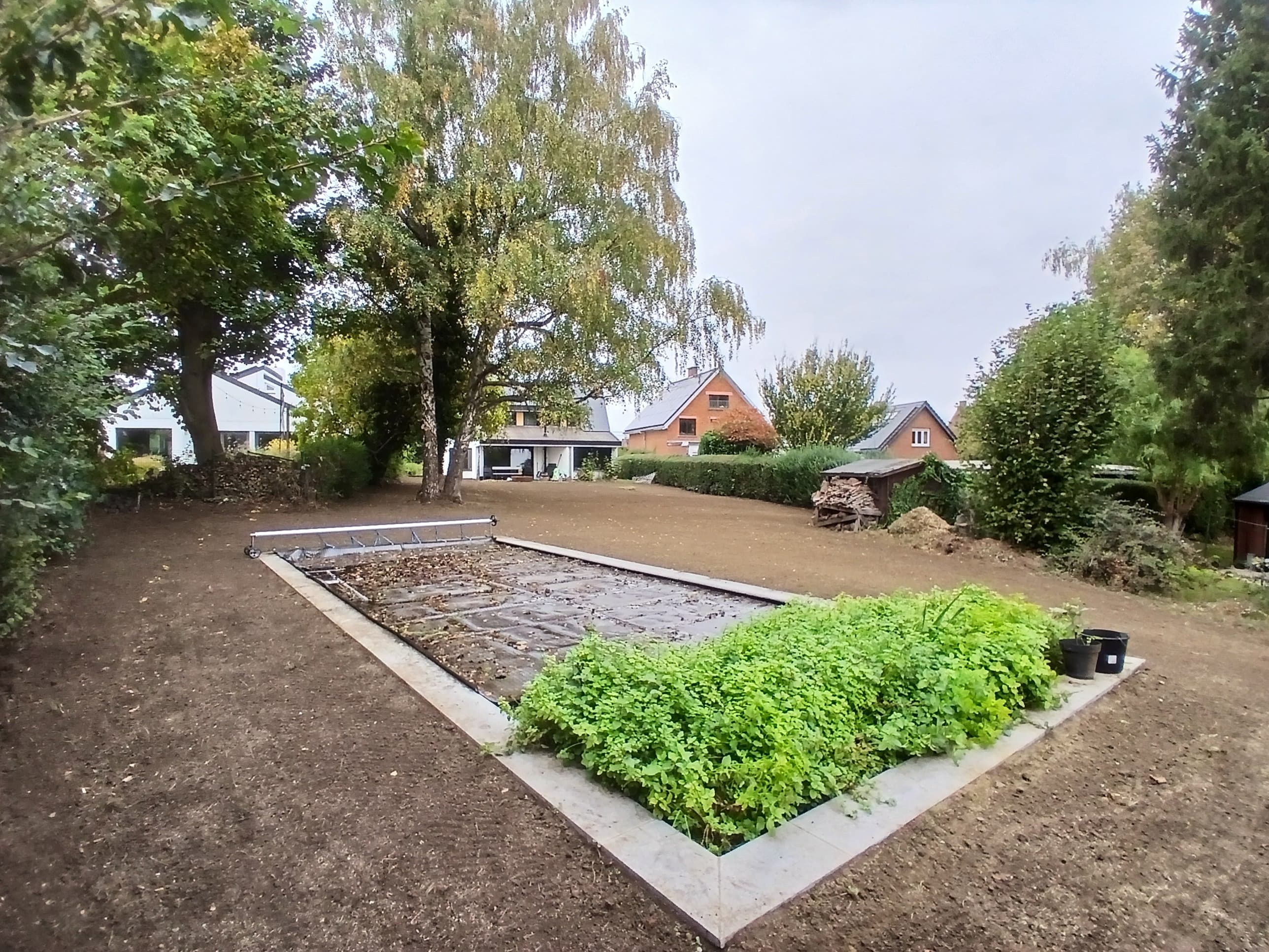 Jardin aménagé avec parterre et pelouse par Arbolista